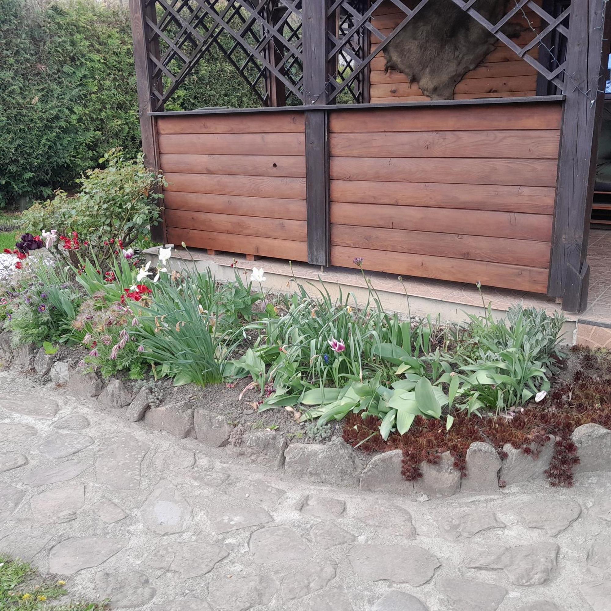 Majowy Domek Rymanów Dış mekan fotoğraf
